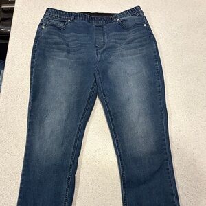 DG2 by Diane Gilman Dark Blue Skinny Jeans